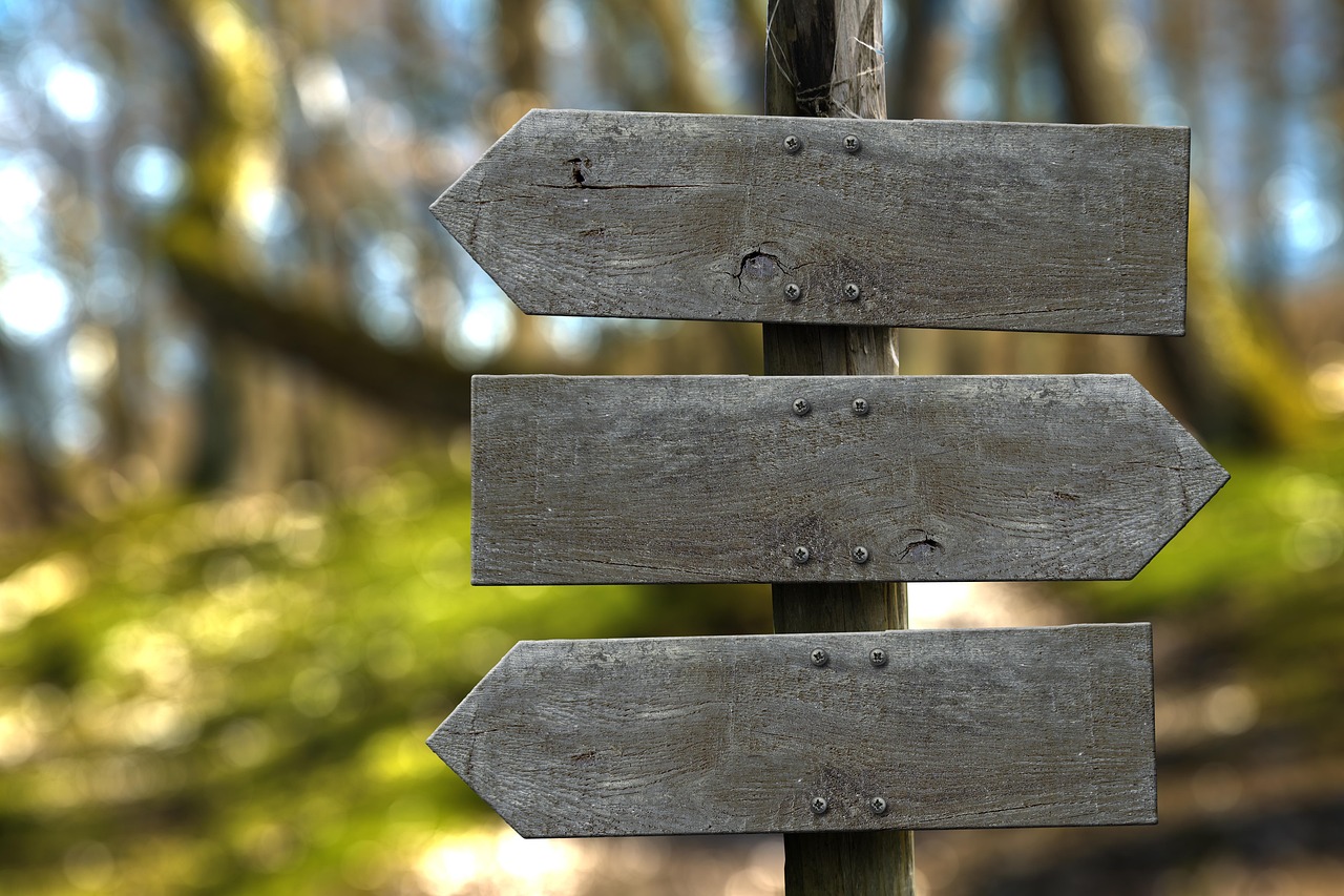 A Guide to Nature’s Unexpected Moments